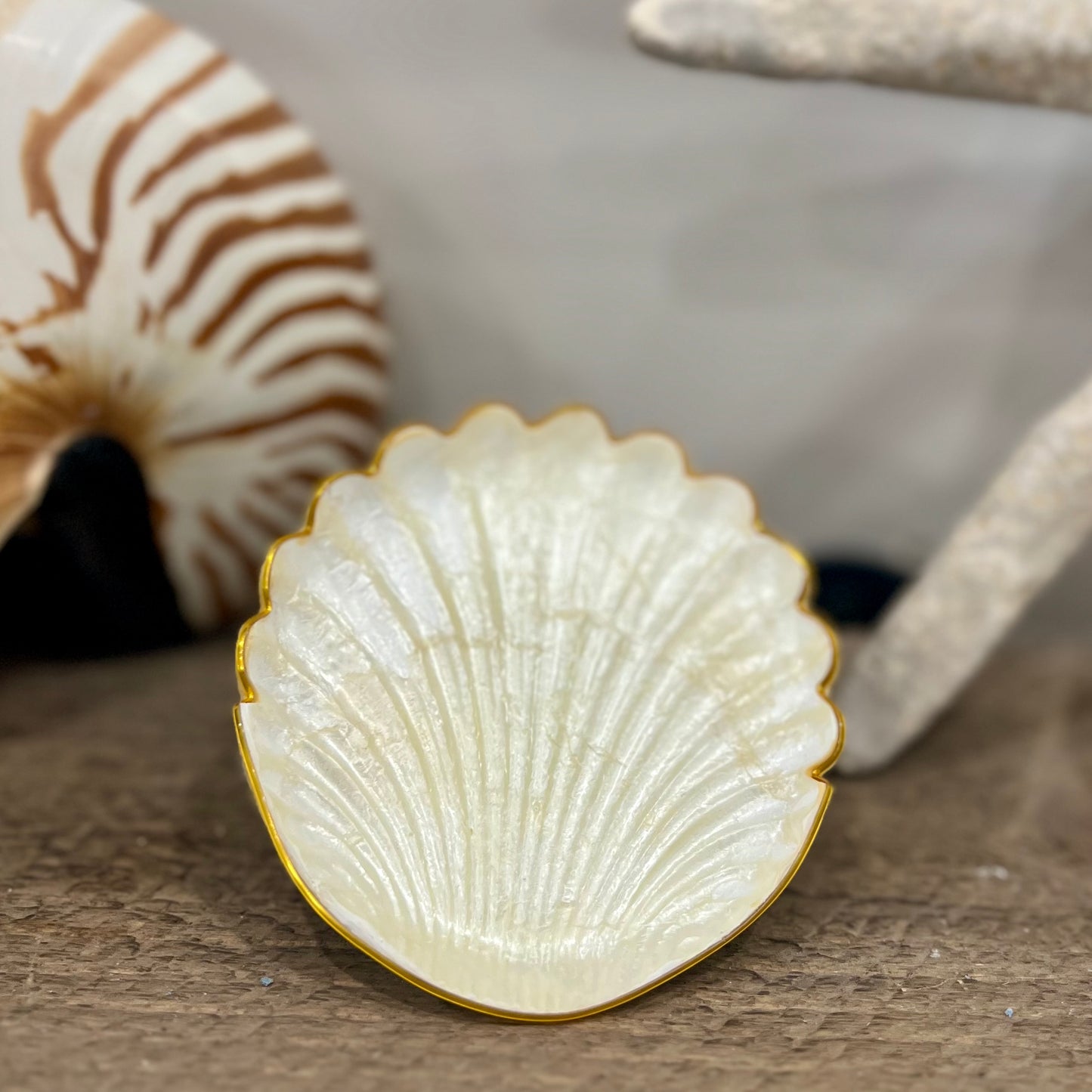 Capiz Coaster Sets