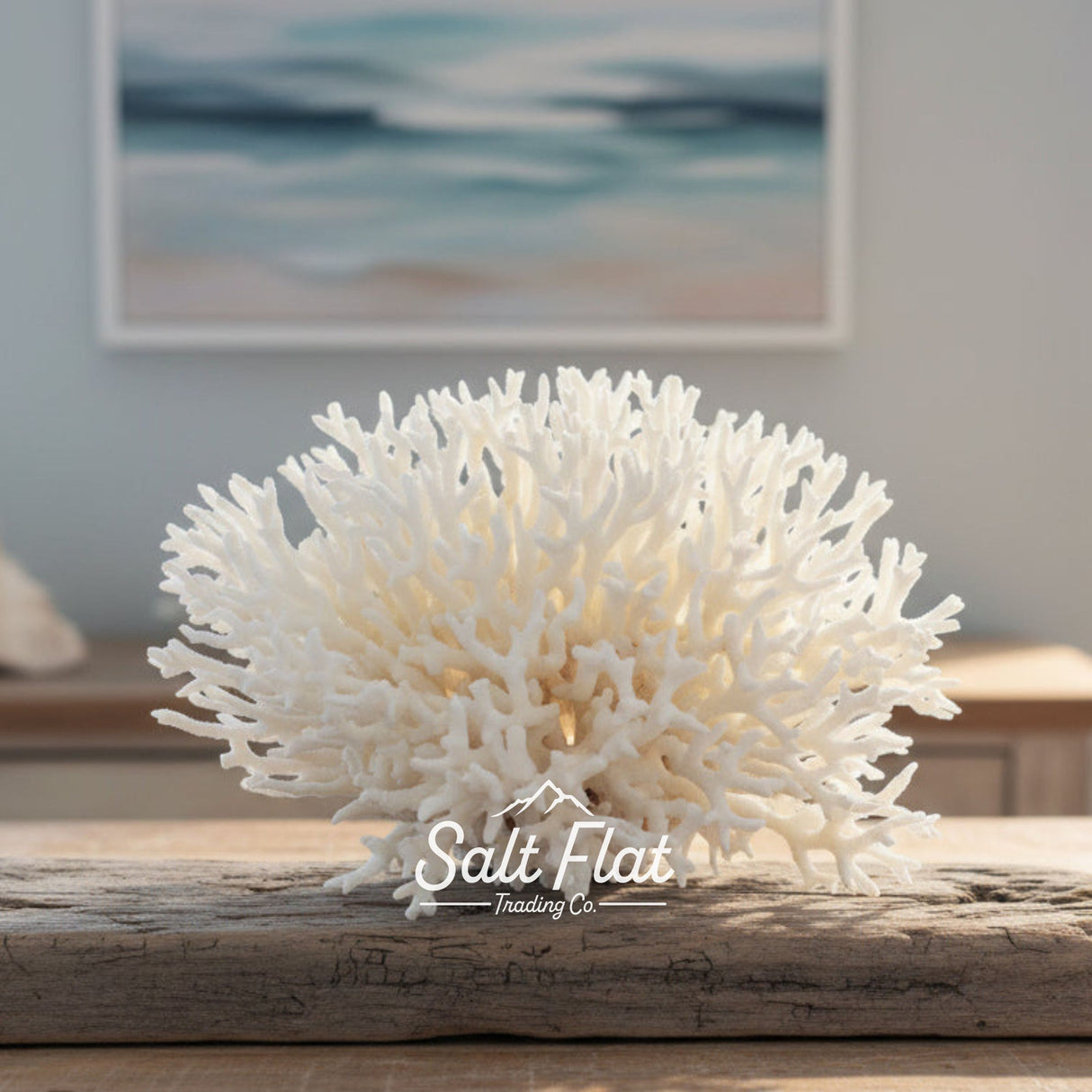 Birdsnest Coral 10-12"