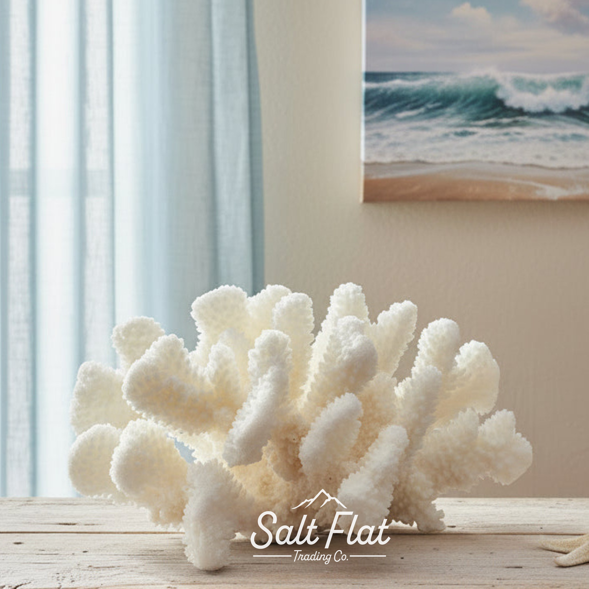Cauliflower Coral 10-12"