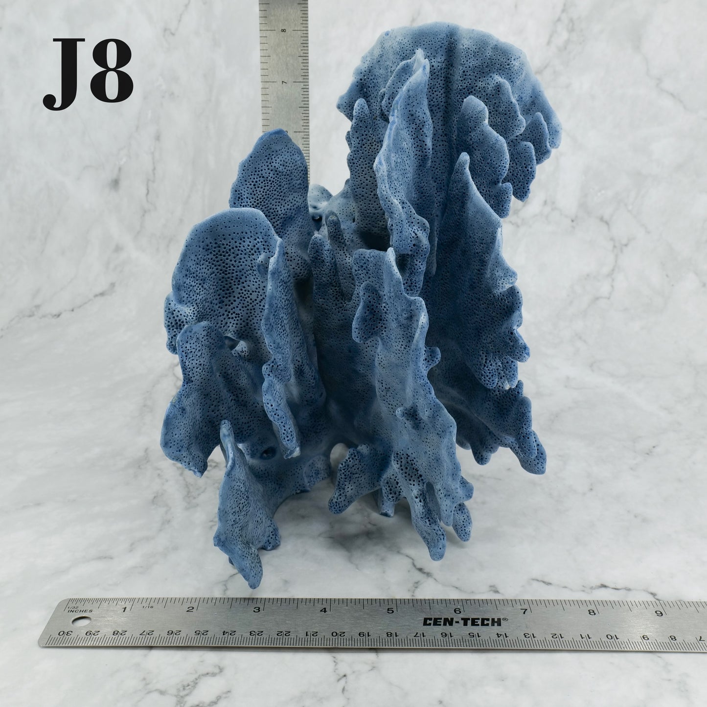 Blue Coral 10-12"