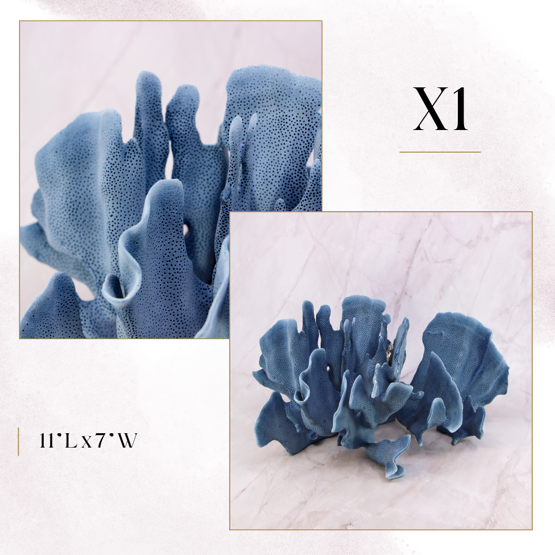 Exclusive Coral Drop | Week 1