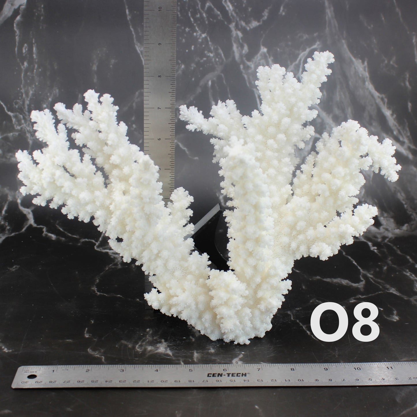 Branch Coral 10-12"