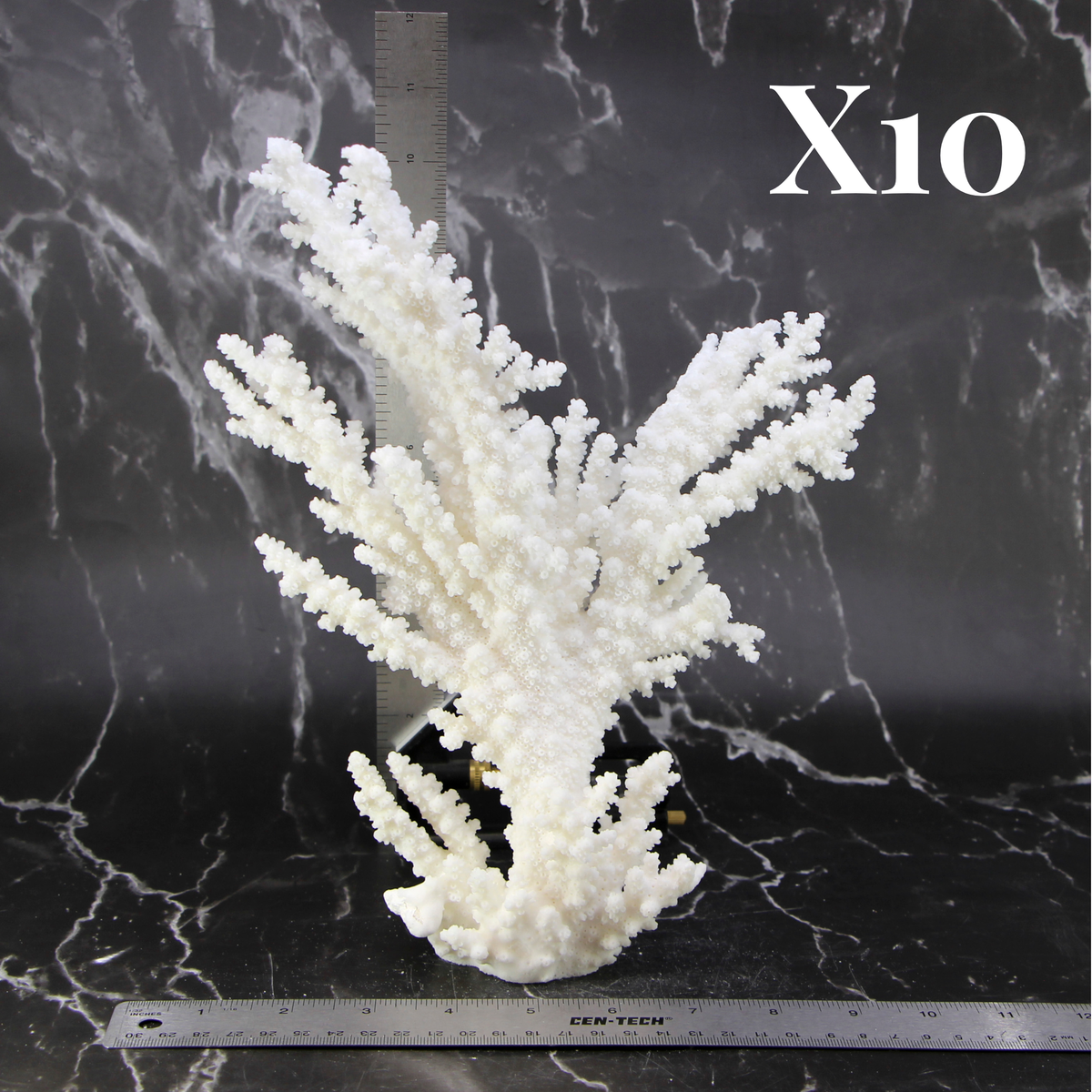 Branch Coral 10-12"