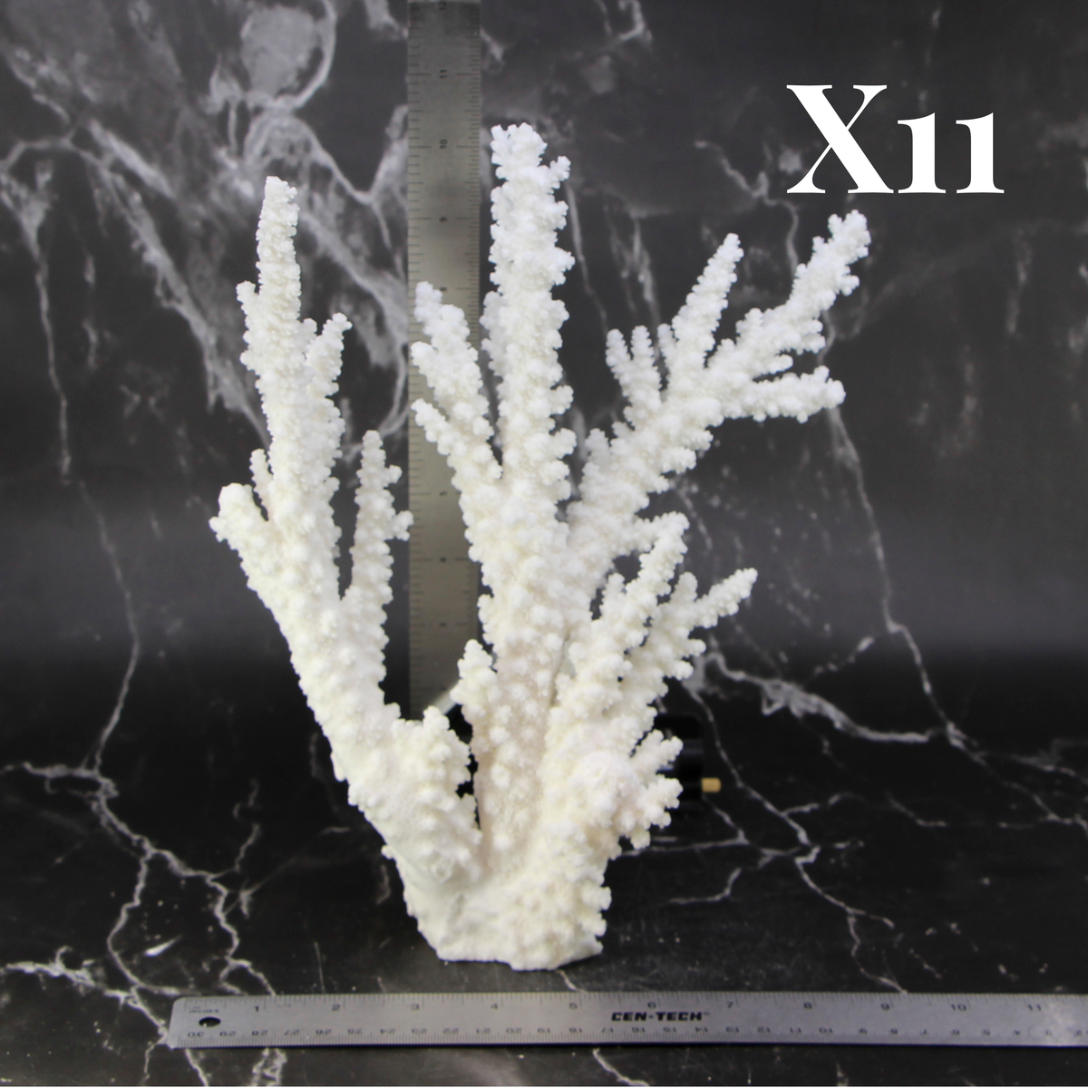 Branch Coral 10-12"
