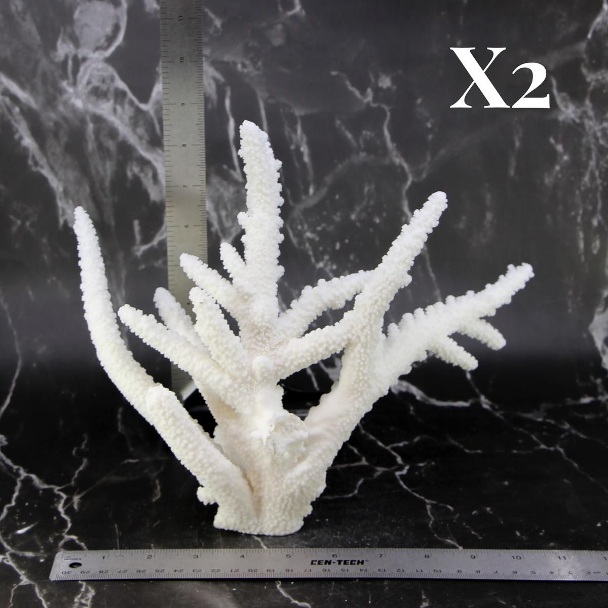 Branch Coral 10-12"