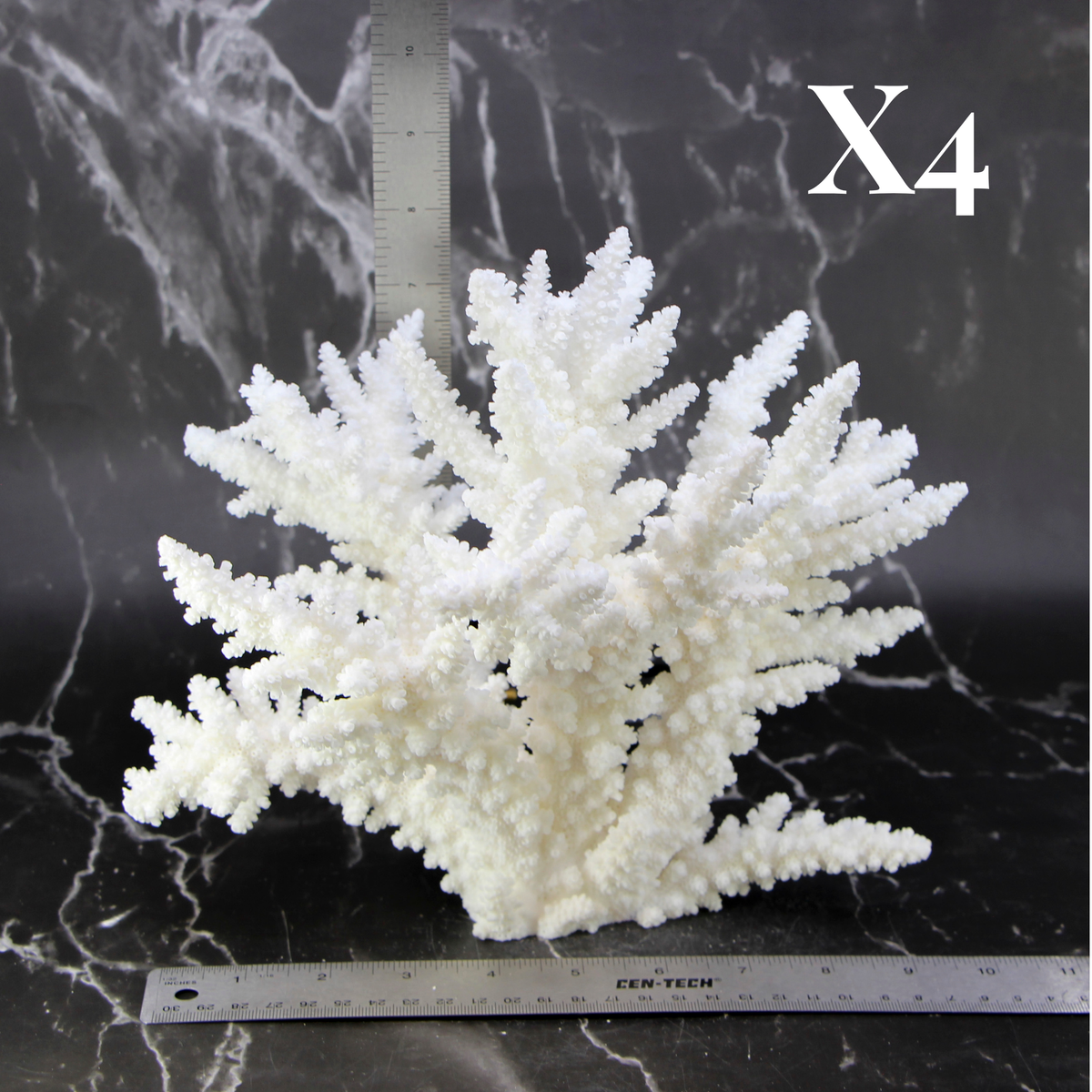 Branch Coral 10-12"