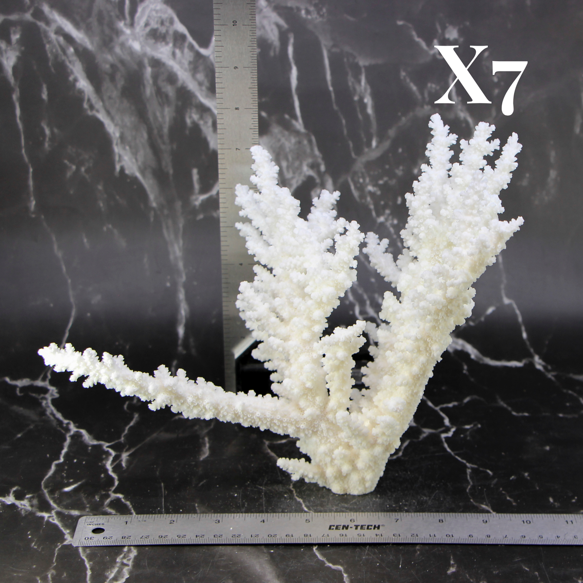 Branch Coral 10-12"