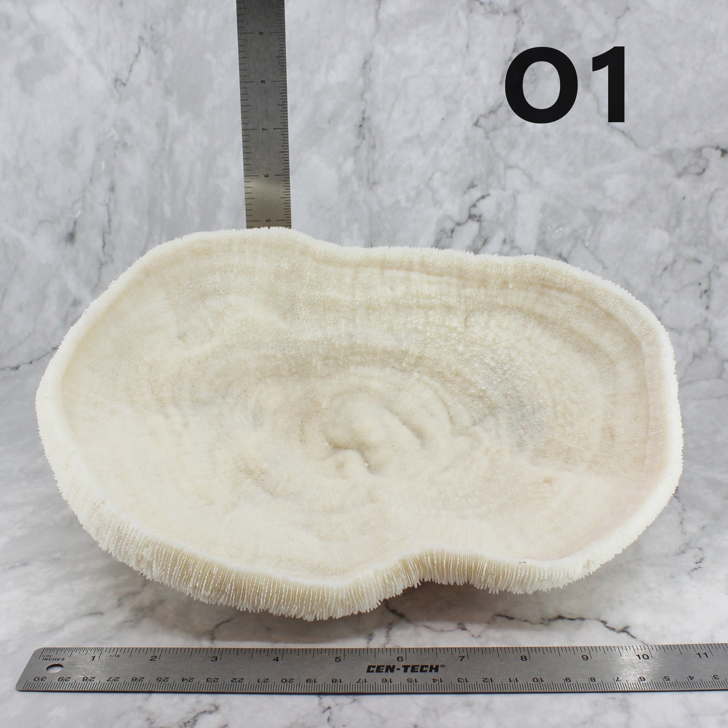 Coral Bowl 10-12"