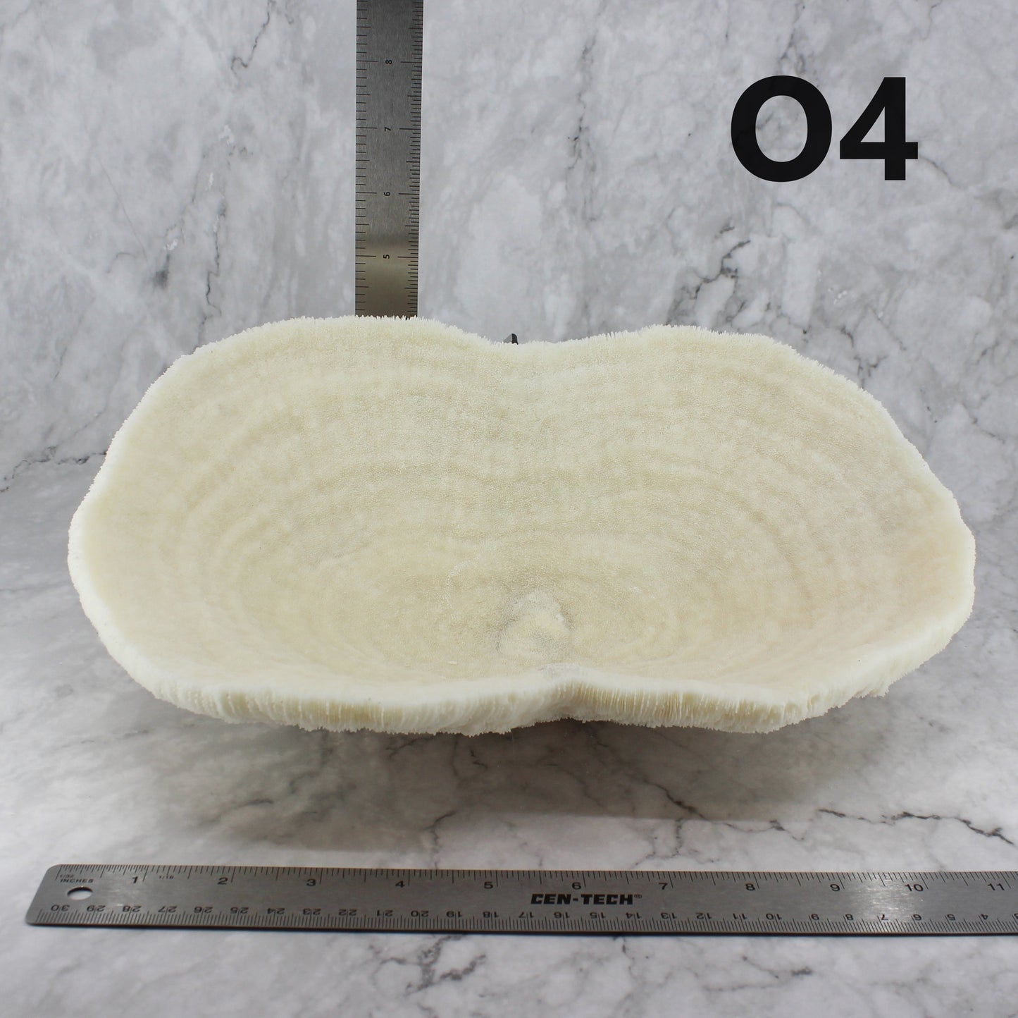 Coral Bowl 10-12"