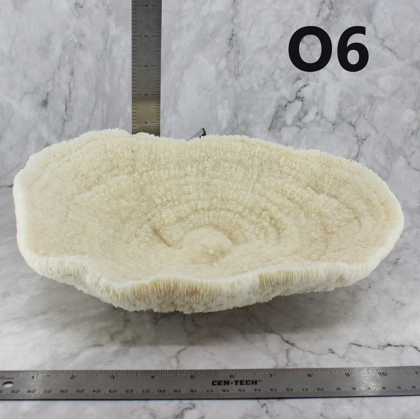 Coral Bowl 10-12"