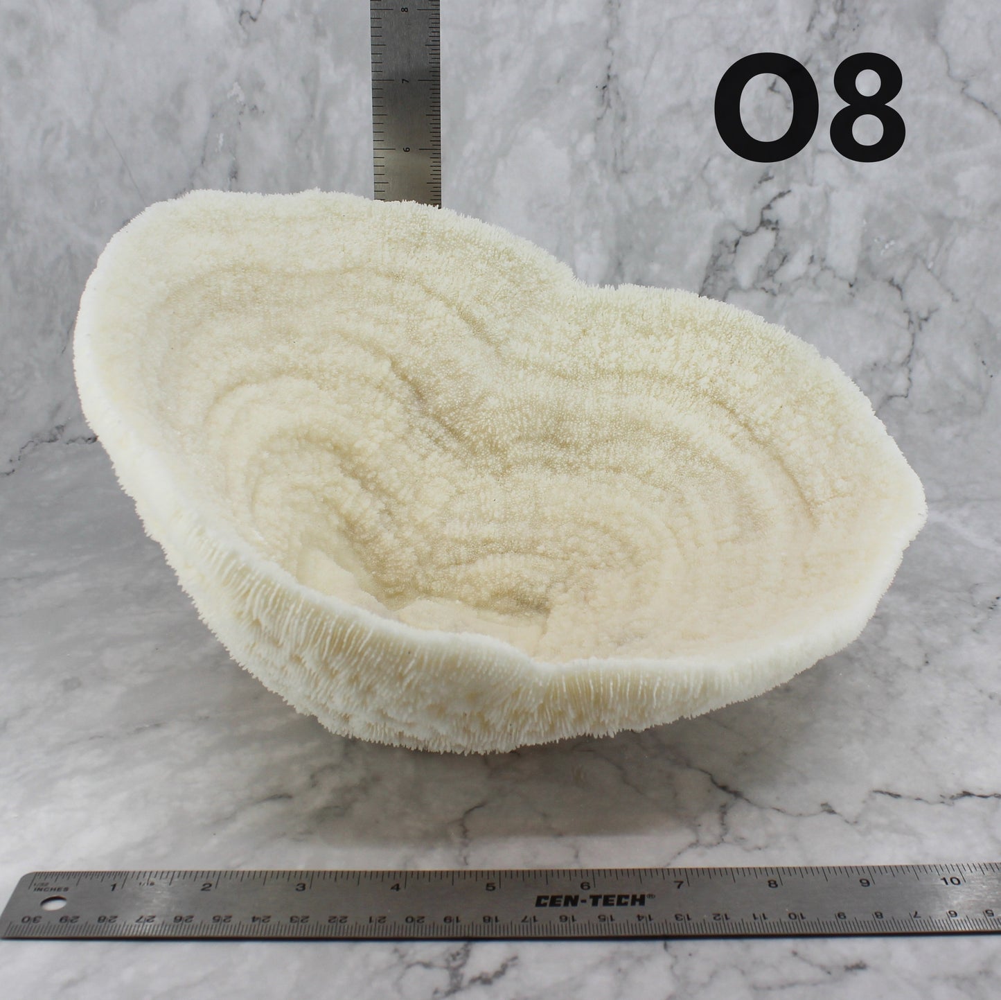 Coral Bowl 10-12"