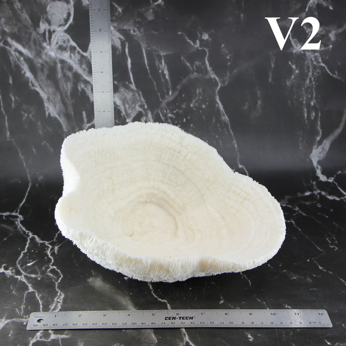 Coral Bowl 10-12"