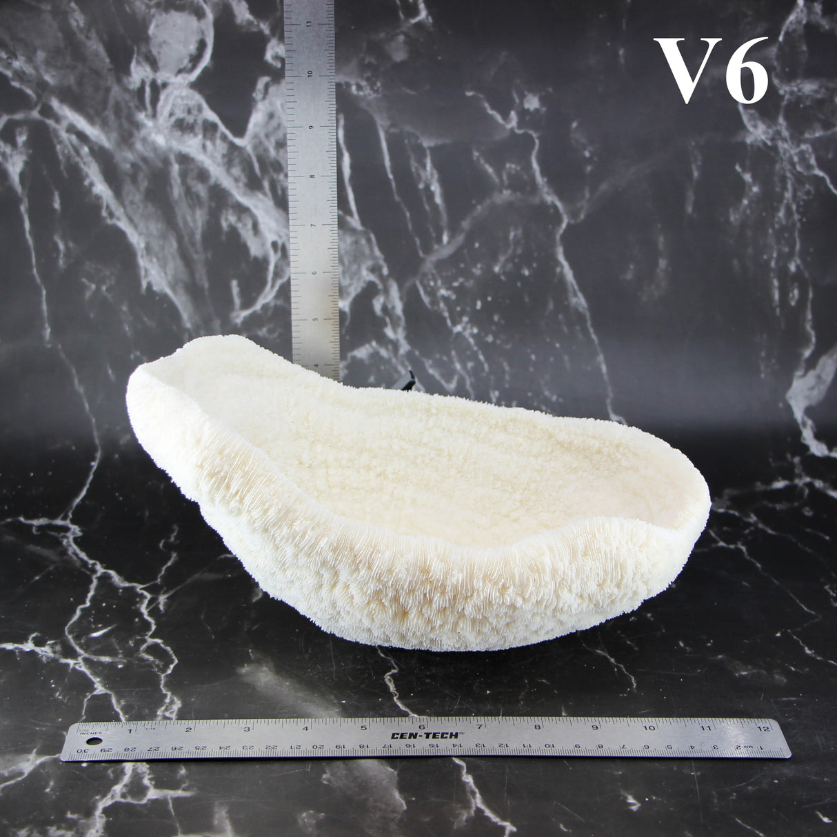 Coral Bowl 10-12"