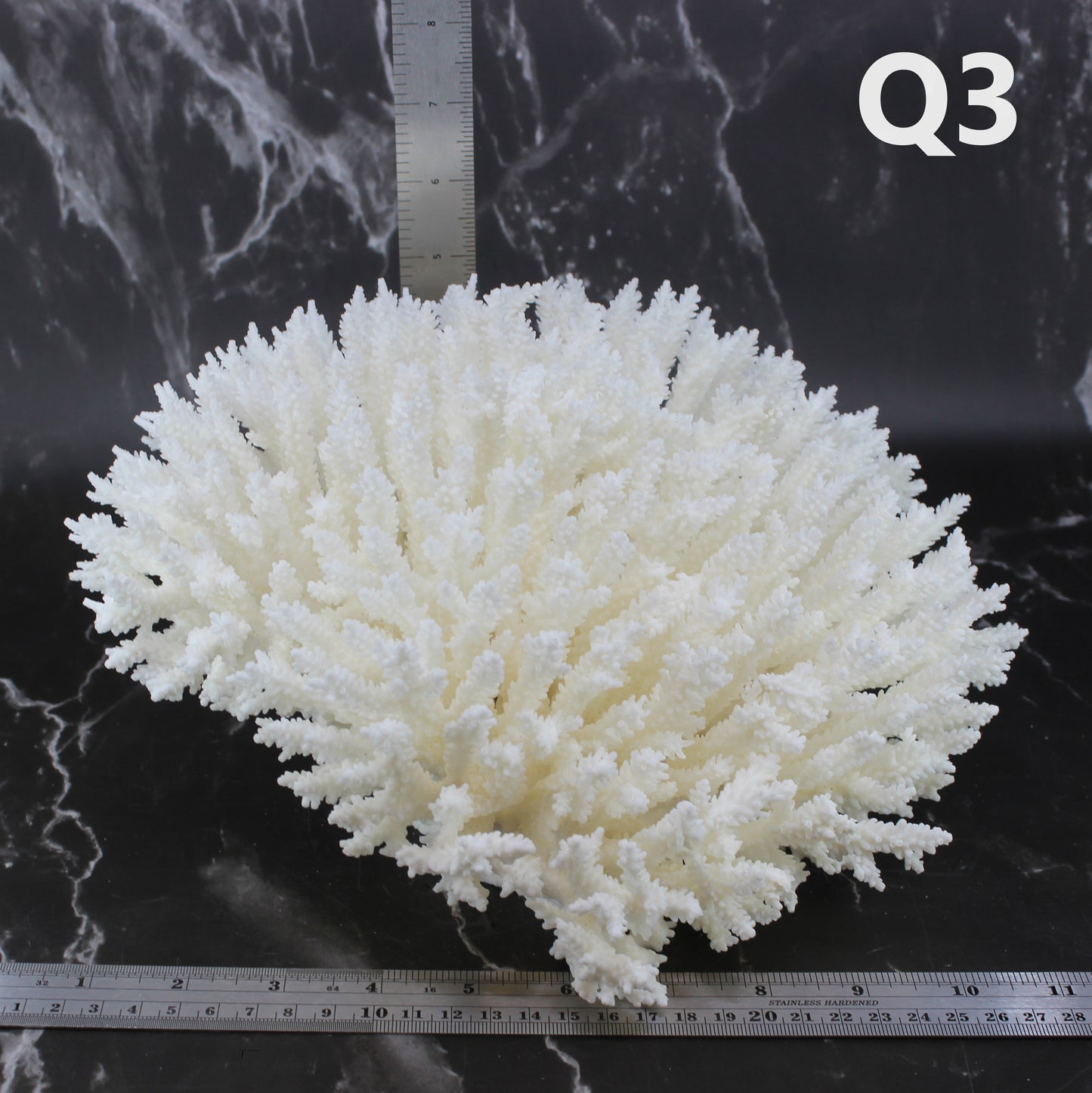 Table Coral 10-12"
