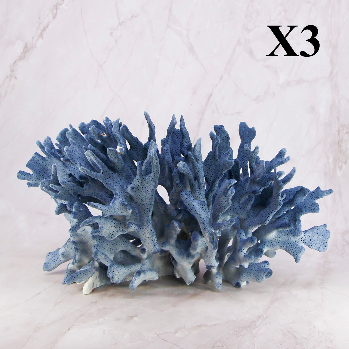 Blue Coral 12-14"