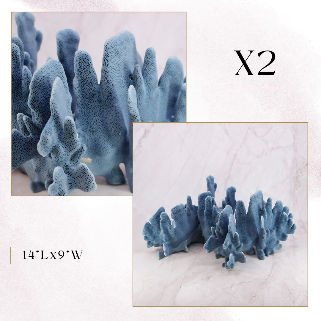 Exclusive Coral Drop | Week 1