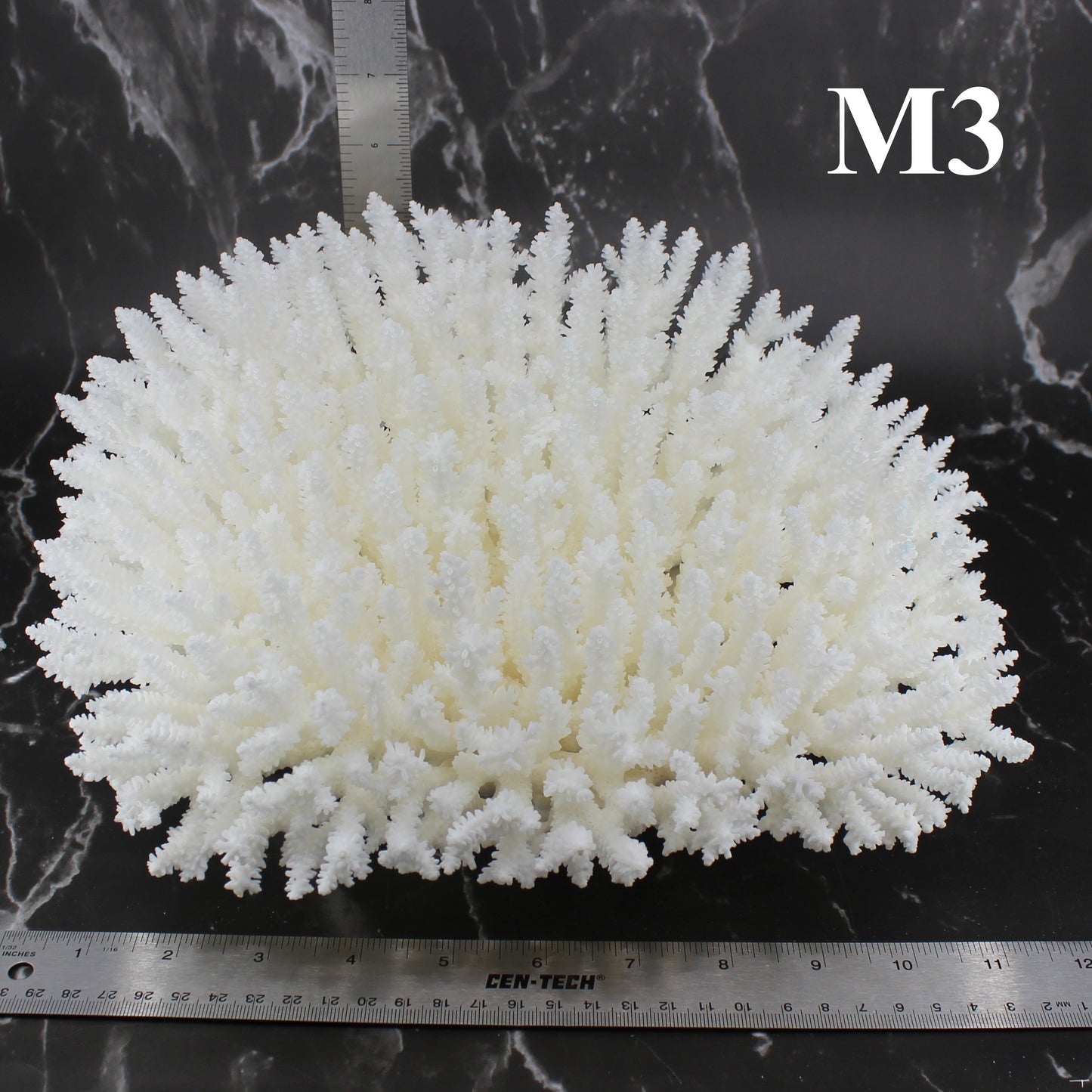 Table Coral 12-14"