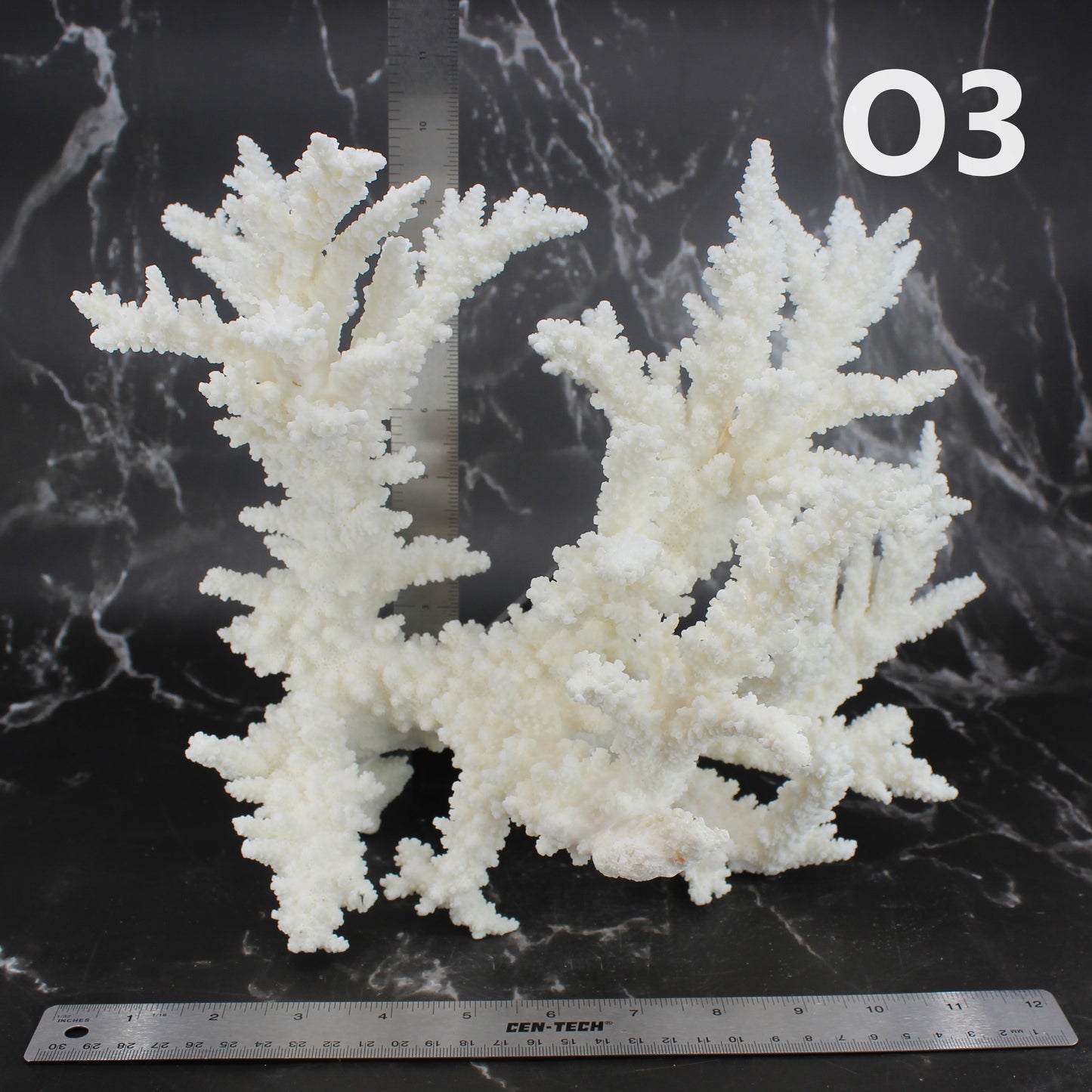 Branch Coral 14-16"