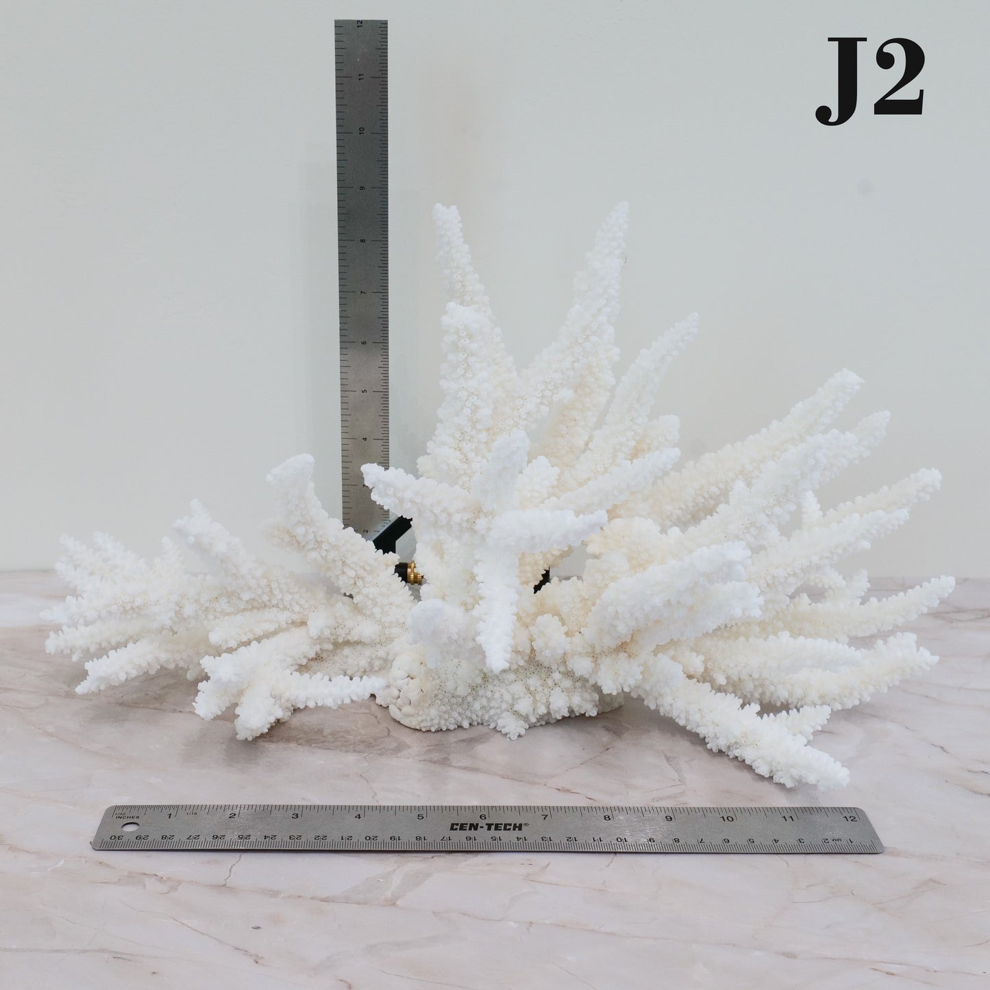 Branch Coral 14-16"