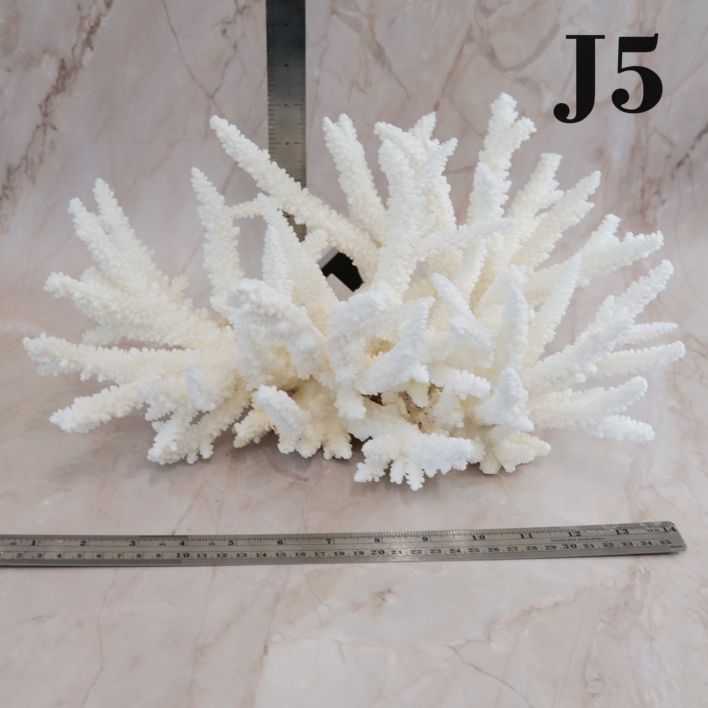 Branch Coral 14-16"
