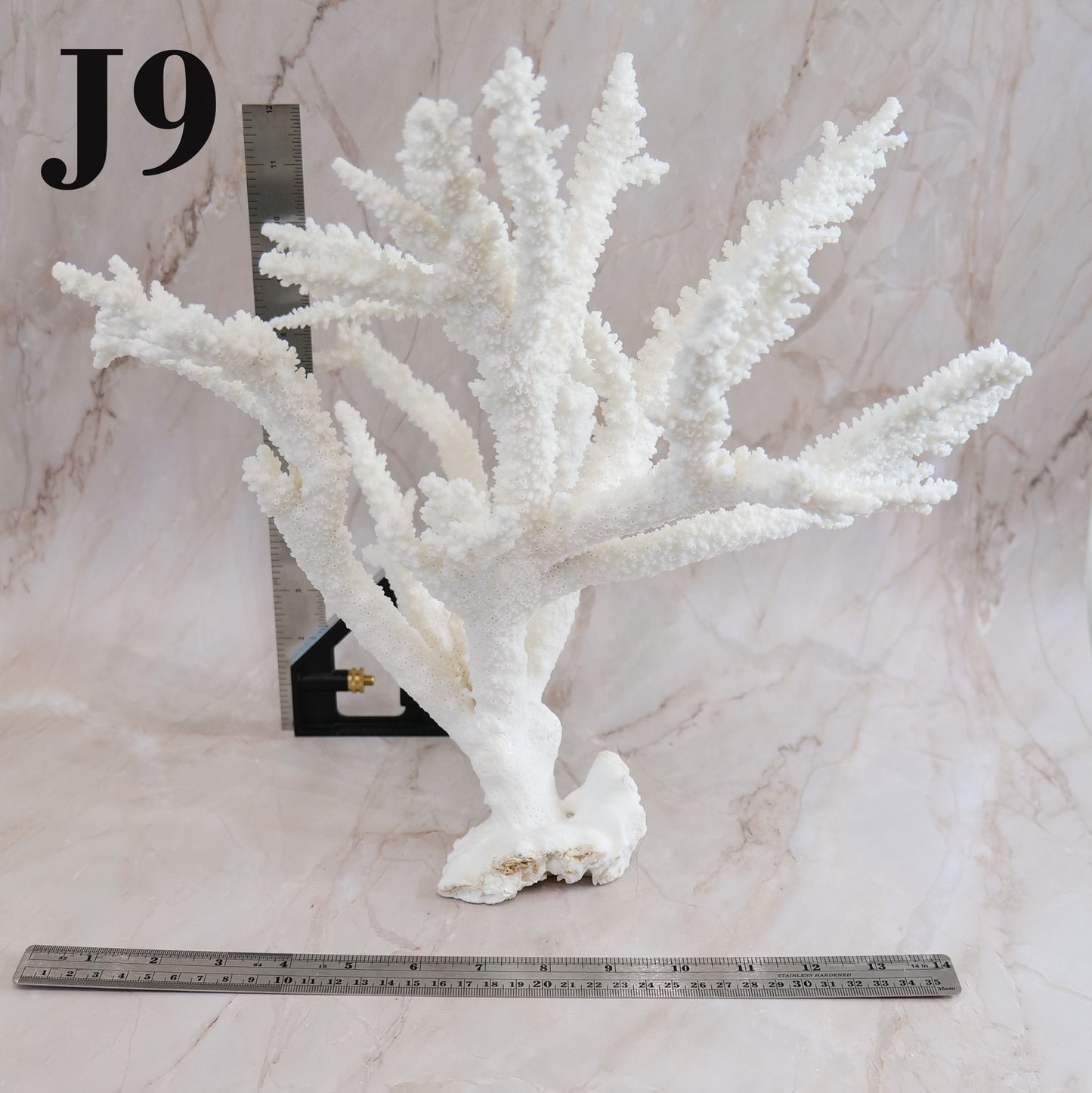 Branch Coral 14-16"