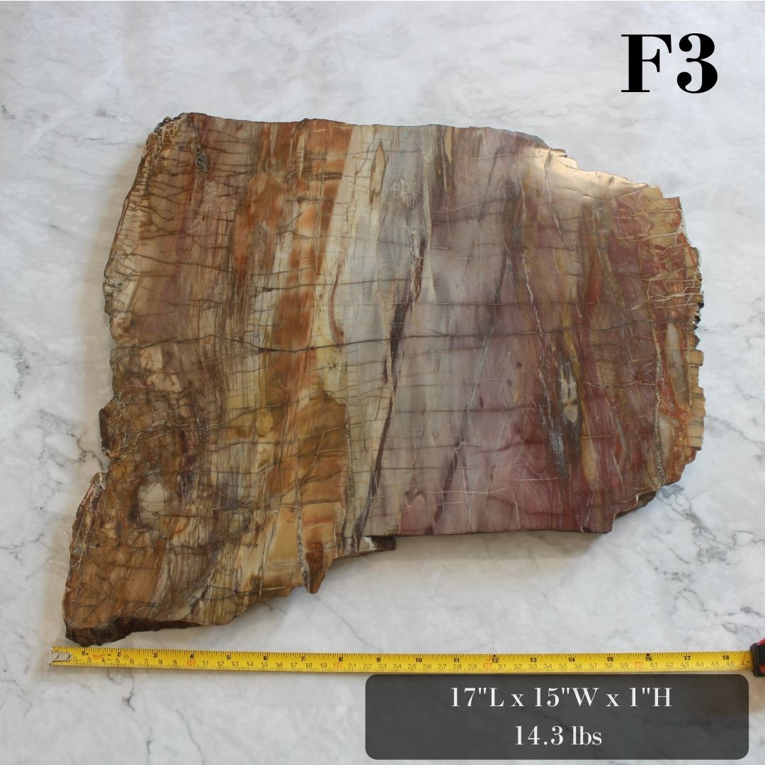 Petrified Wood Slabs 15-20"
