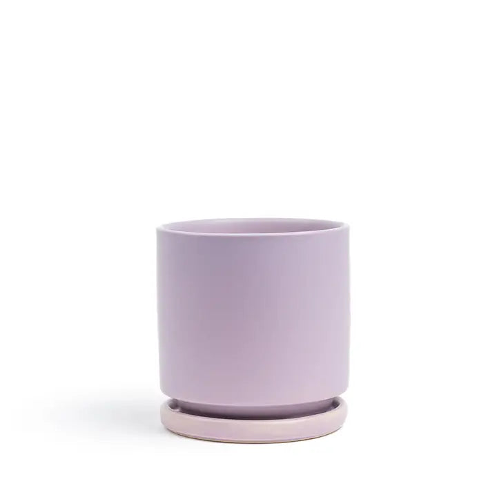 4.5" Gemstone Cylinder Pots with Water Saucers