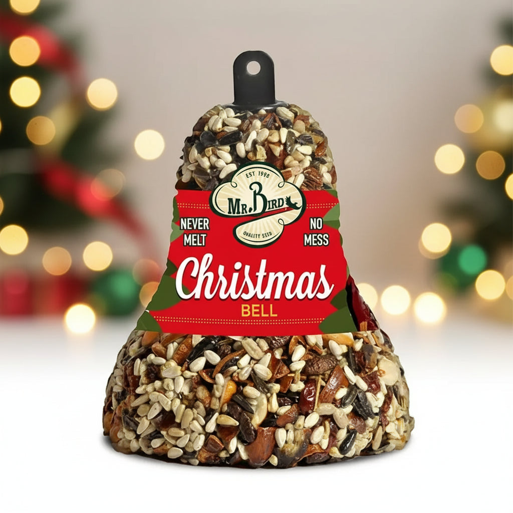 Christmas Fruit & Nut Bell