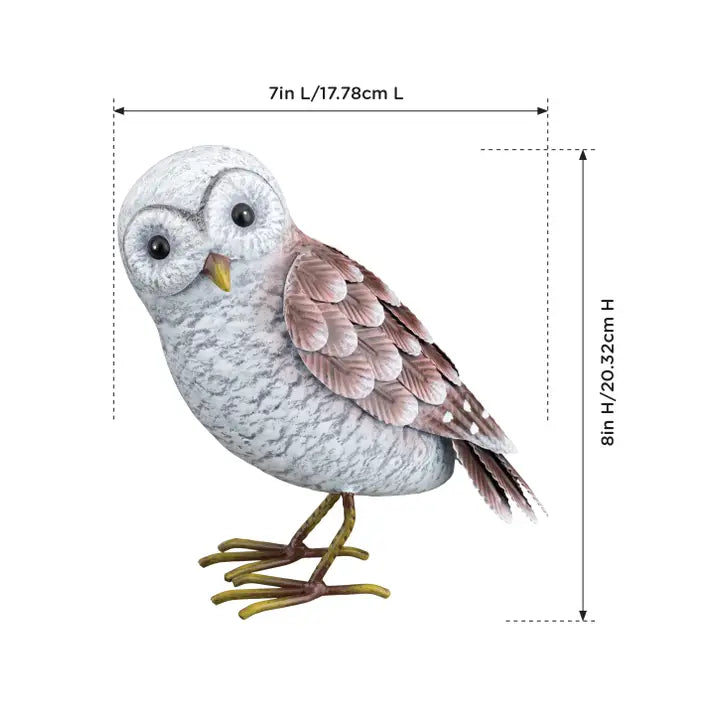 Barn Owl