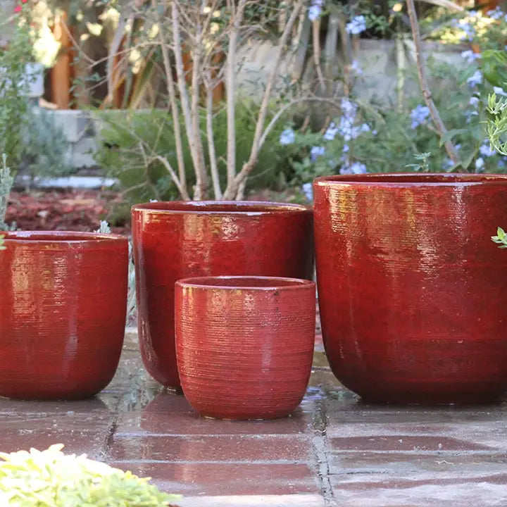 Good Earth Bucket Planter | Tropical Red