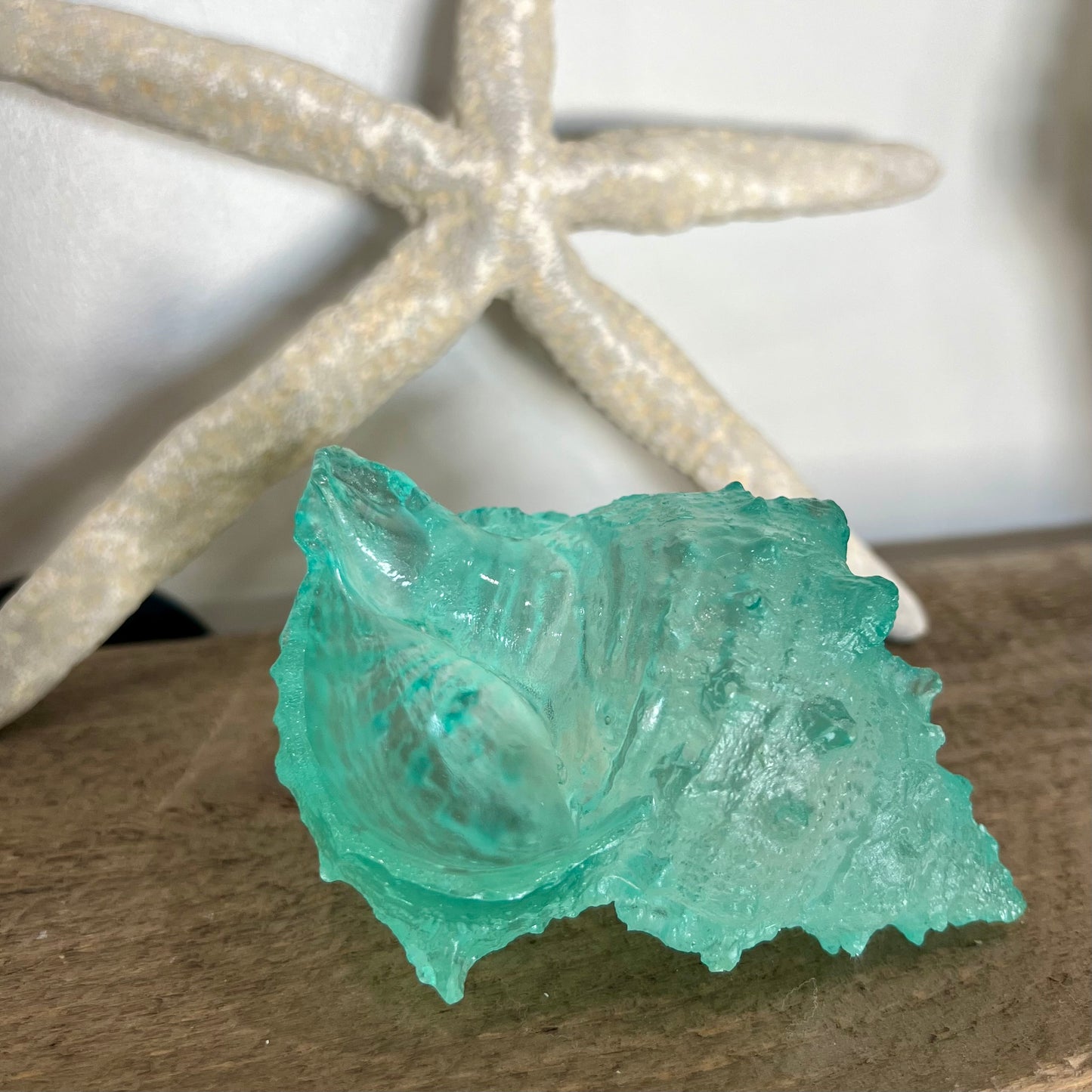 Clear Blue Frog Shell