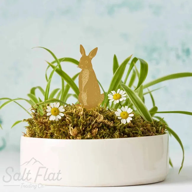 Plant Animals