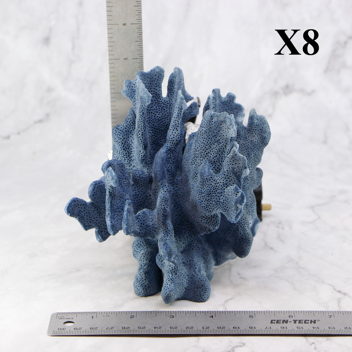 Blue Coral 5-7"