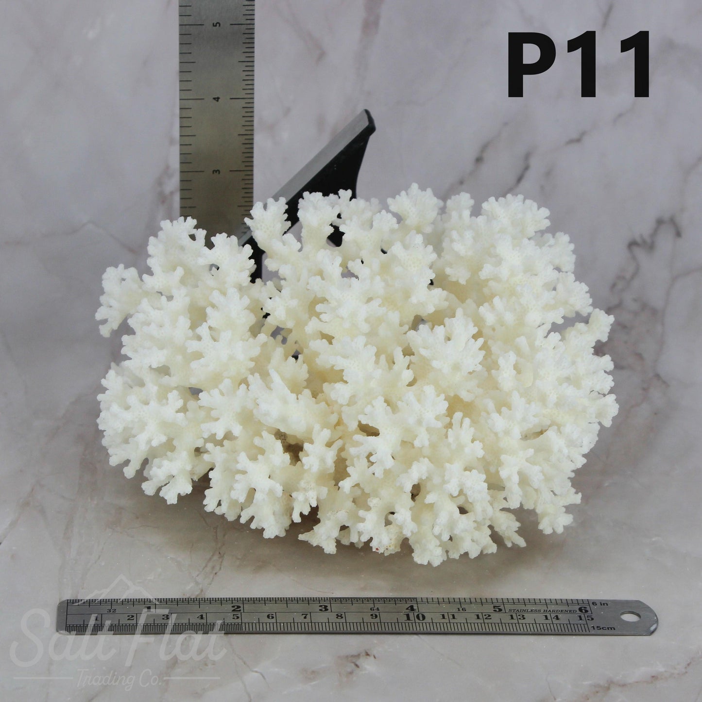 Lace Coral 5-7"
