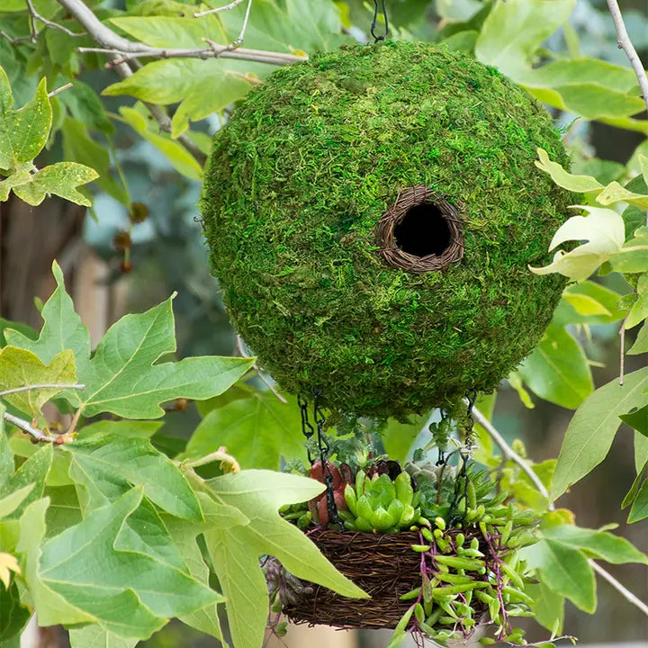 Moss Birdhouses