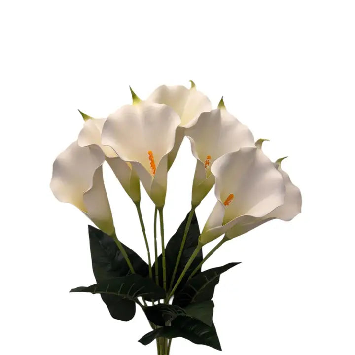 Large Eva Foam Calla Lilly Bush x7 - Cream 24"