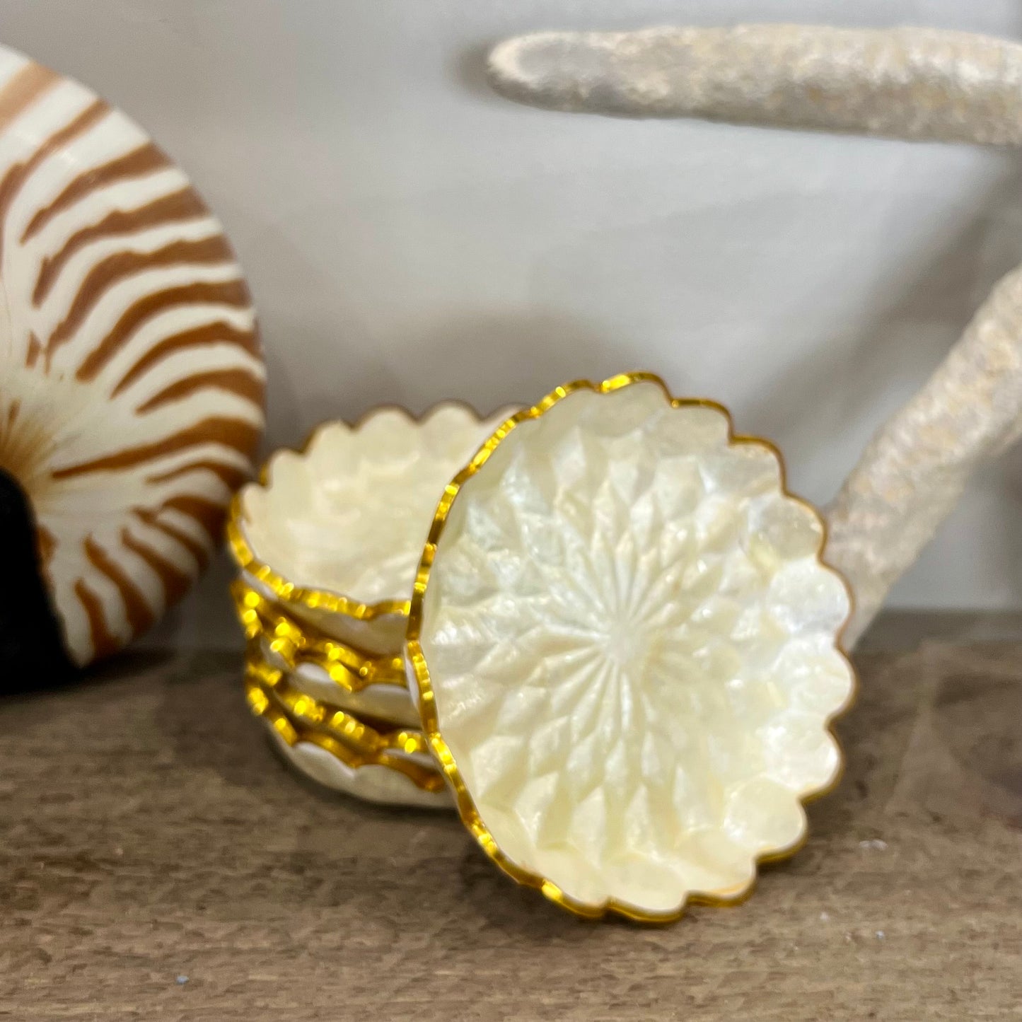Capiz Coaster Sets