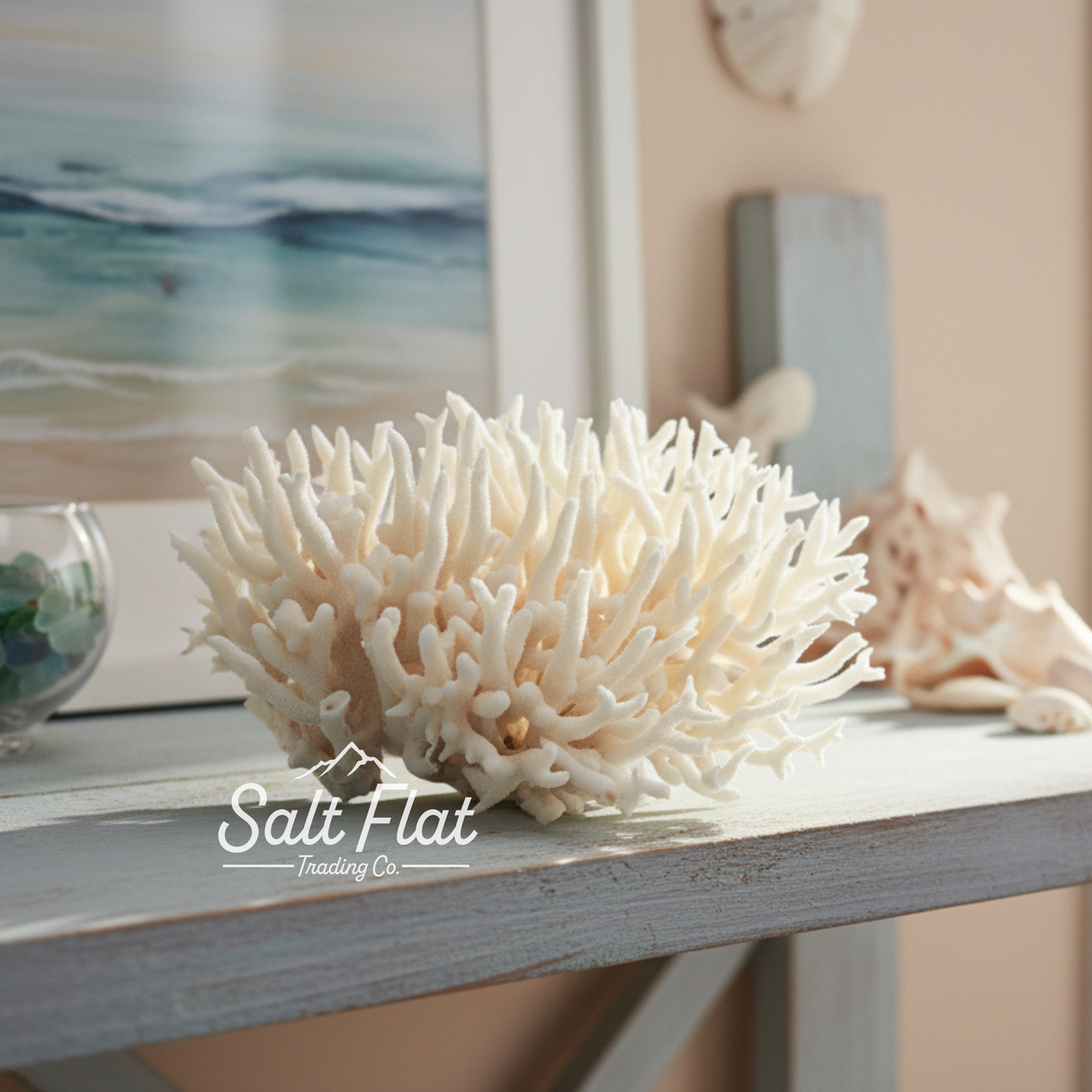 Birdsnest Coral 7-10"