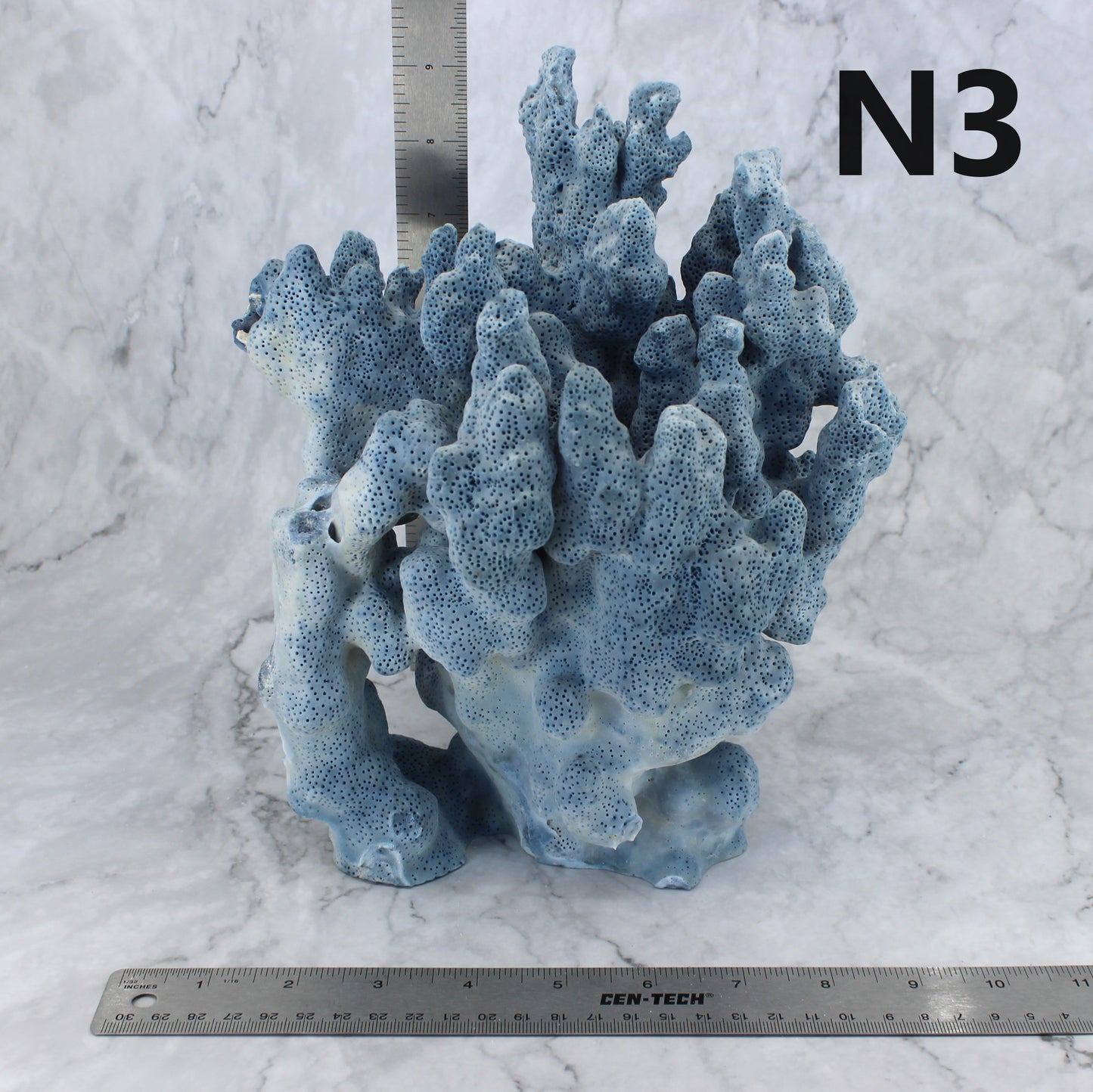 Blue Coral 7-10"