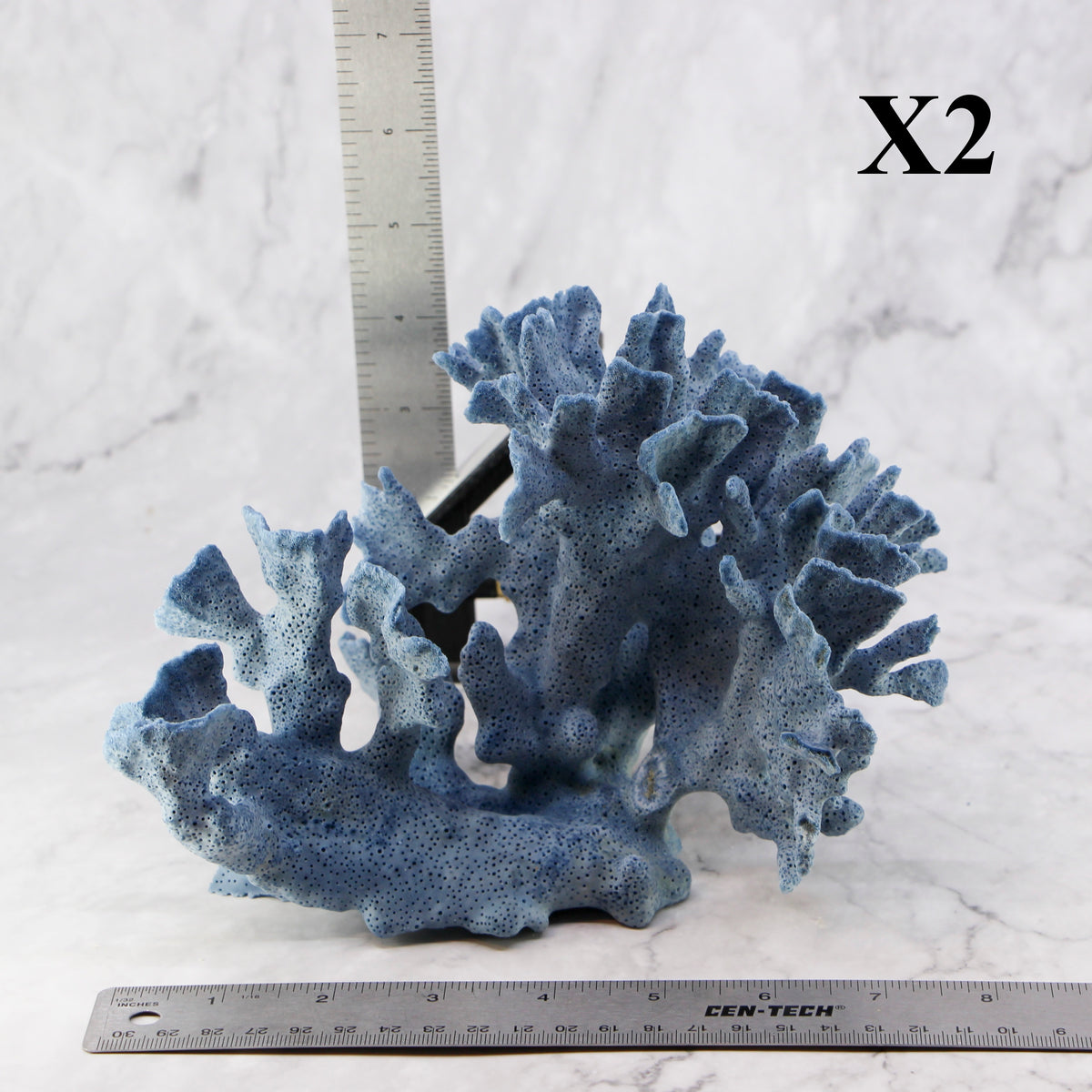 Blue Coral 7-10"