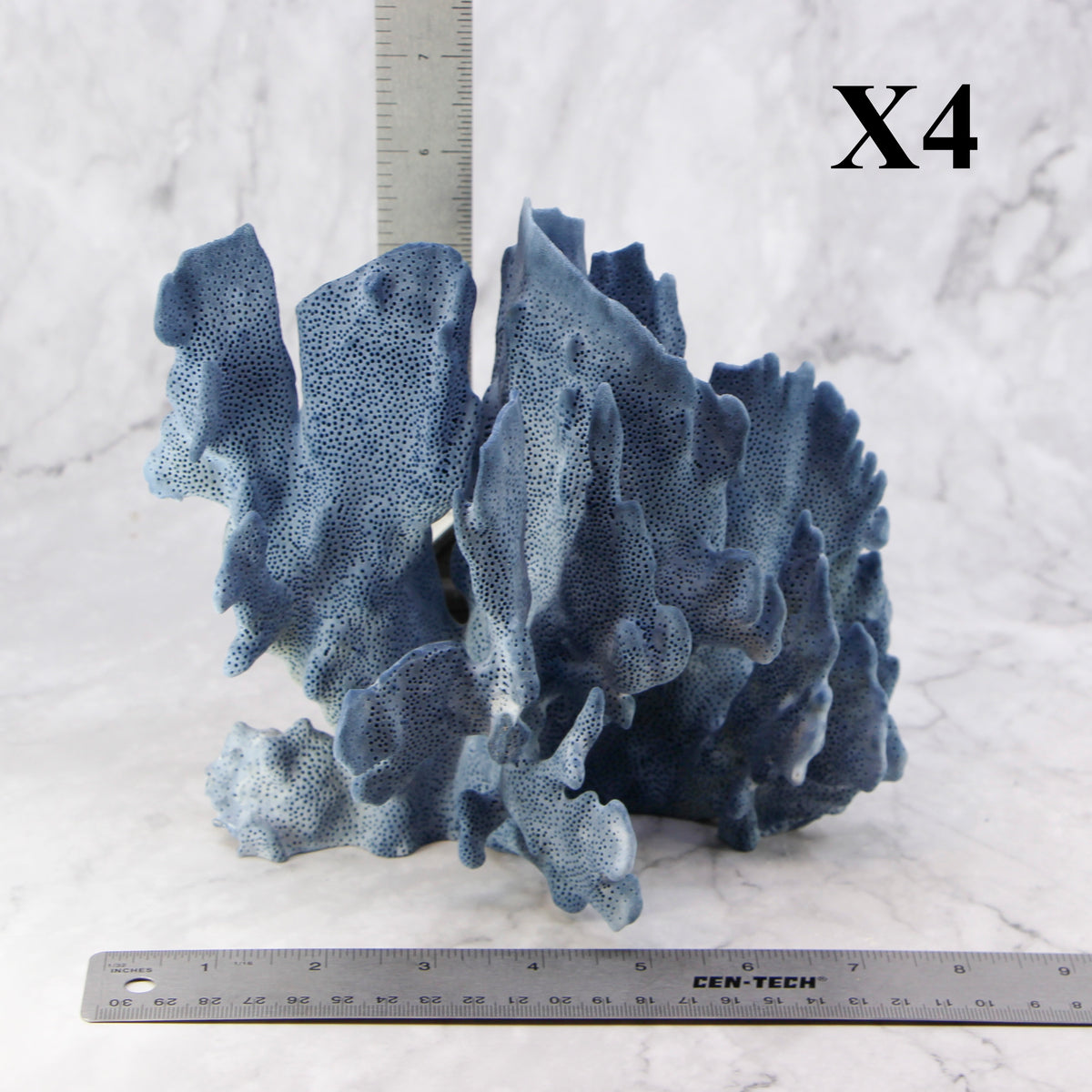 Blue Coral 7-10"