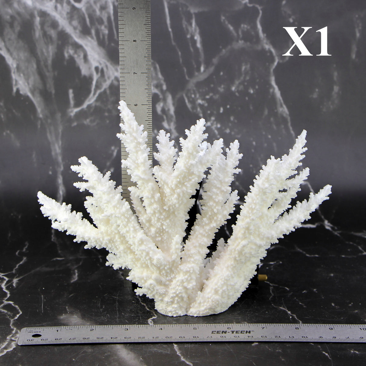 Branch Coral 7-10"