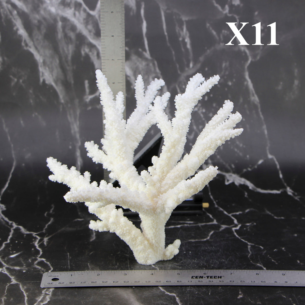 Branch Coral 7-10"