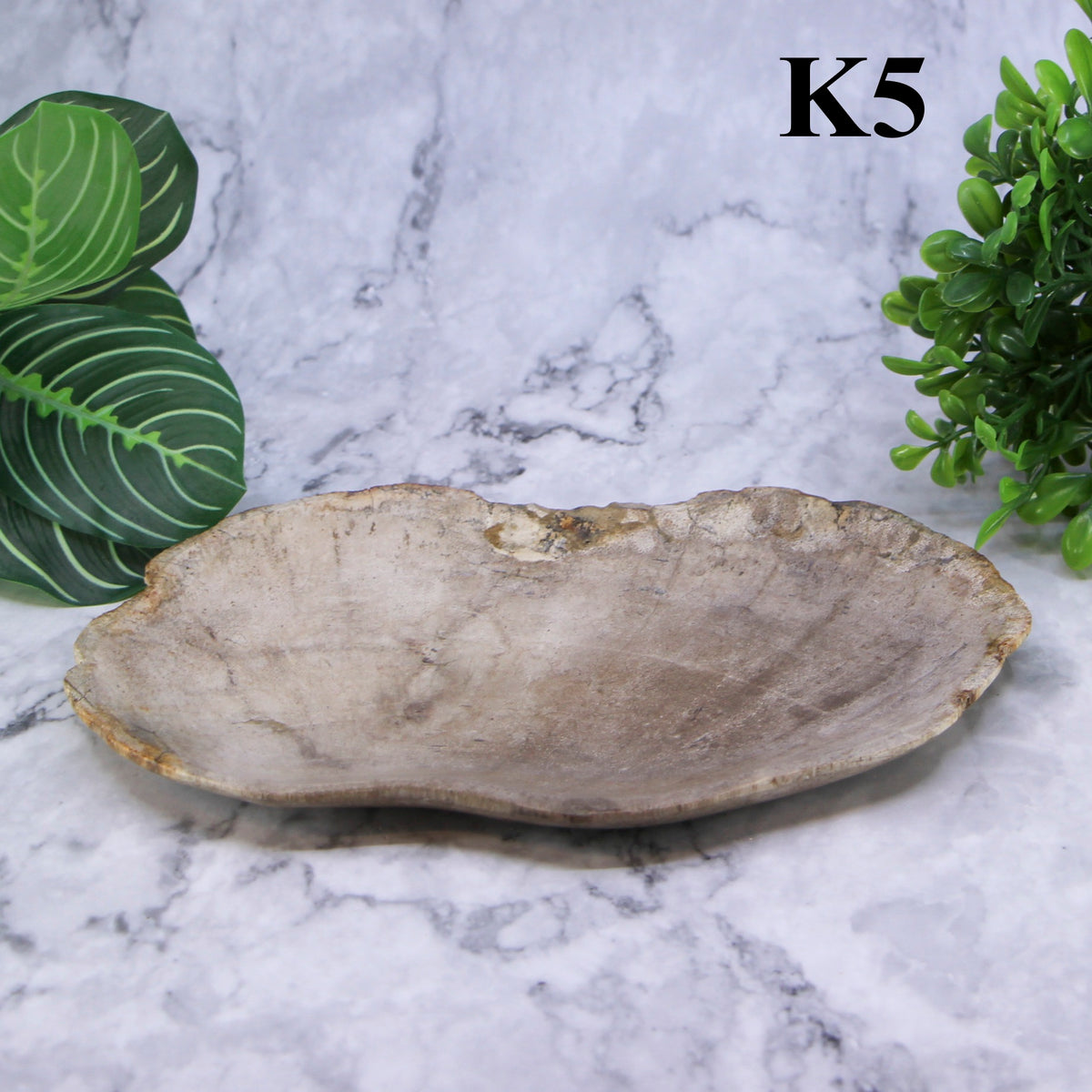 Petrified Wood Plates 7-10"