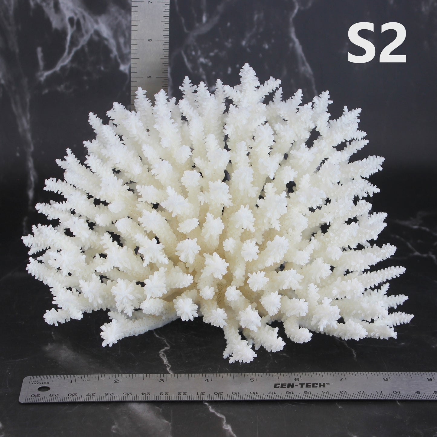 Table Coral 7-10"
