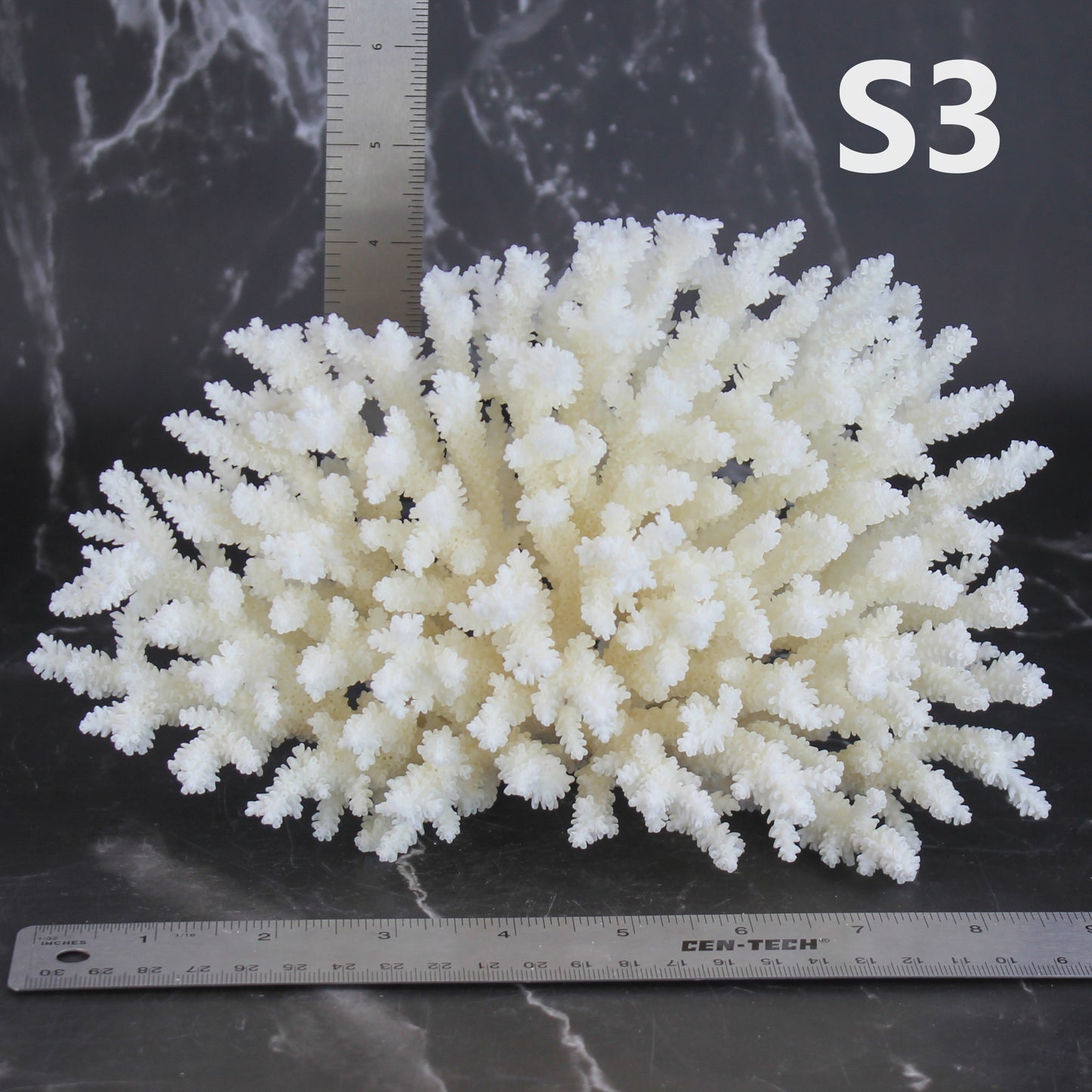 Table Coral 7-10"