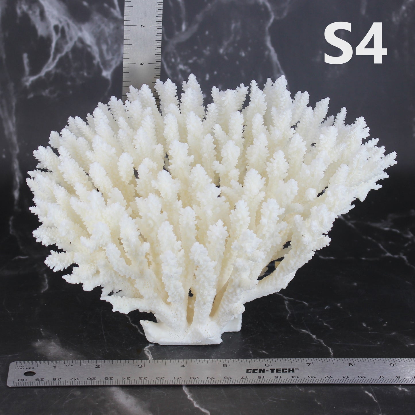 Table Coral 7-10"