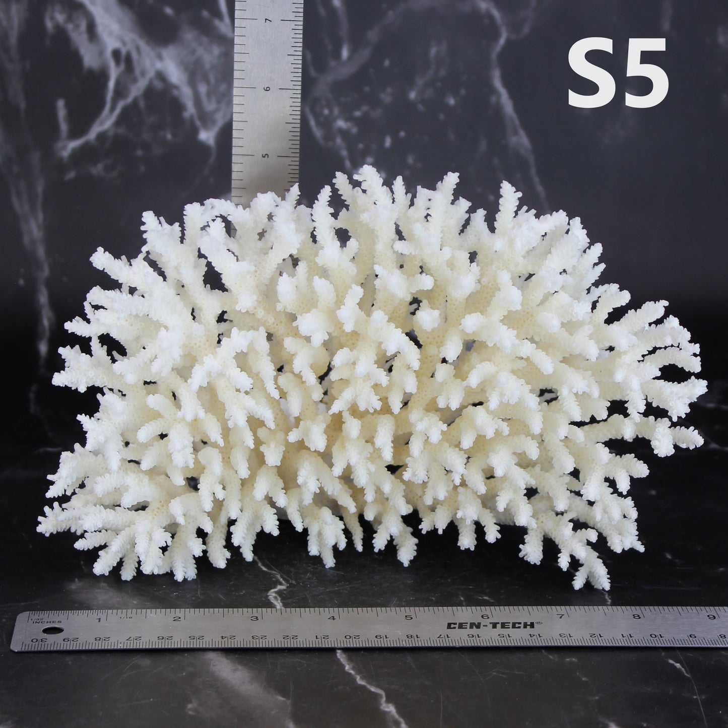 Table Coral 7-10"