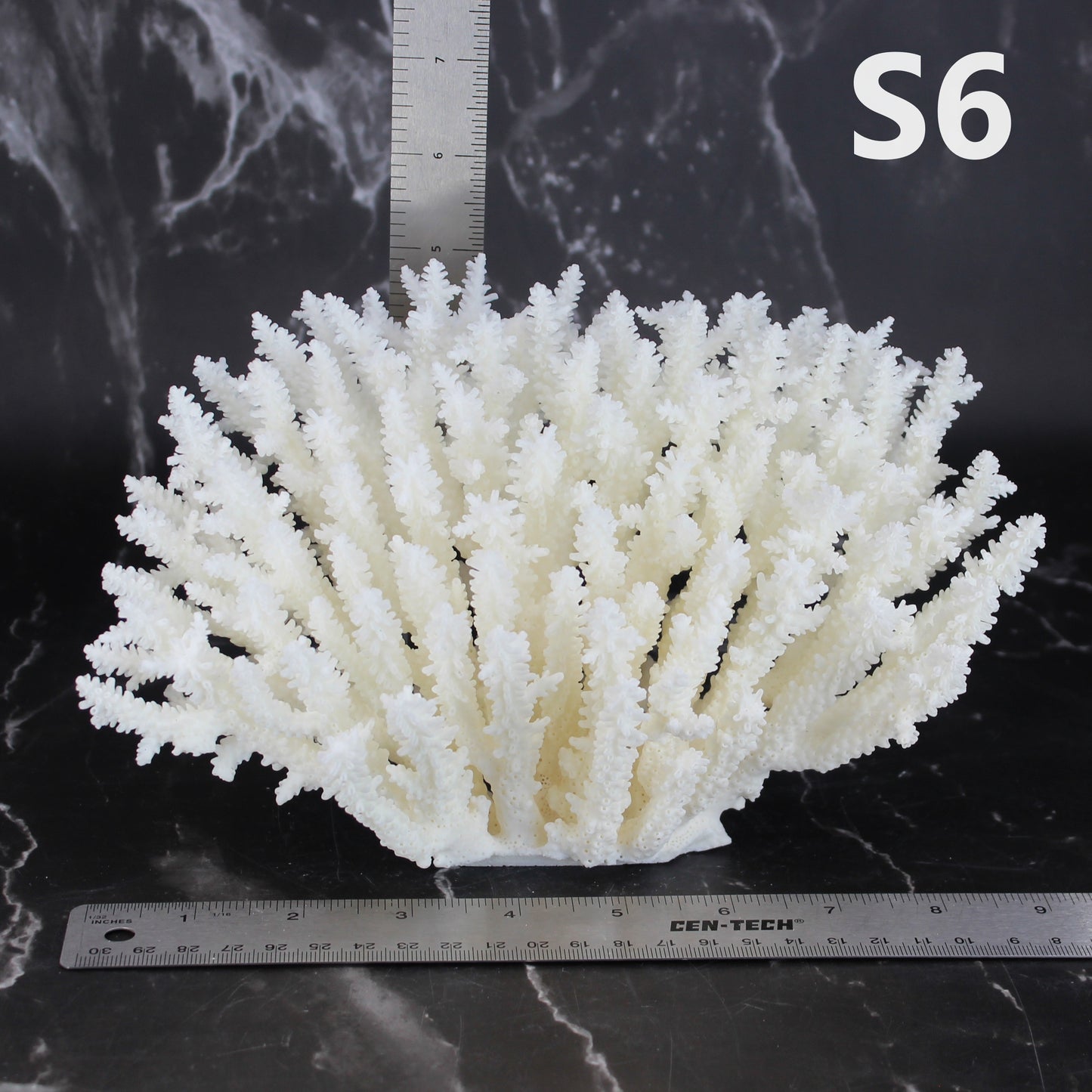 Table Coral 7-10"
