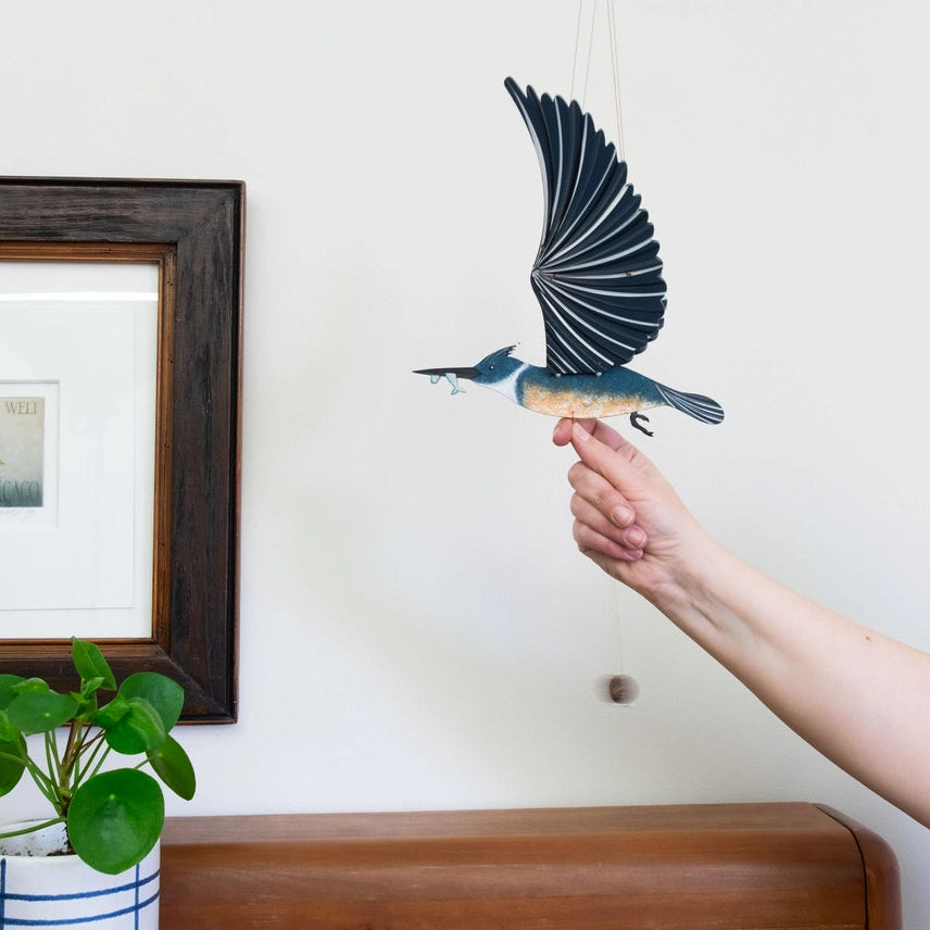 Flying Mobiles